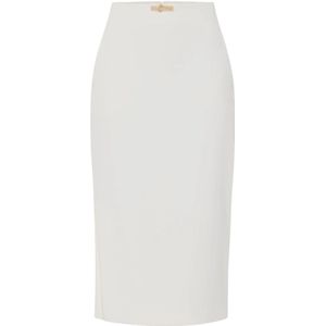 Elisabetta Franchi, Dames, Rokken, Grijs, Maat: M Satijn,