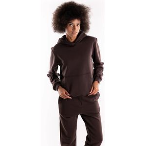 Hinnominate, Dames, Sweatshirts & Hoodies, Bruin, Maat: M Katoen,