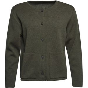 Lind, Dames, Truien, Groen, Maat: S Wol,