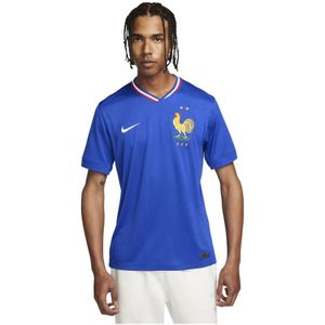 Nike, Heren, Tops, Blauw, Maat: S Poliester,