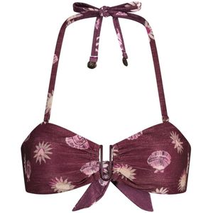 Fabienne Chapot, Dames, Badkleding, Bruin, Maat: XS