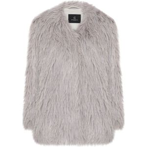 Bruuns Bazaar, Dames, Jassen, Grijs, Maat: XS Poliester,