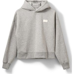 Sofie Schnoor, Dames, Sweatshirts & Hoodies, Grijs, Maat: XS Katoen,