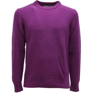 Ballantyne, Heren, Truien, Paars, Maat: S Wol,