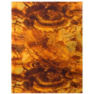 Roberto Cavalli, Dames, Accessoires, Geel, Maat: ONE Size Zijde,