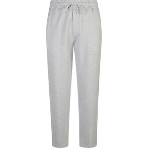 Eleventy, Heren, Broeken, Grijs, Maat: XS Katoen,