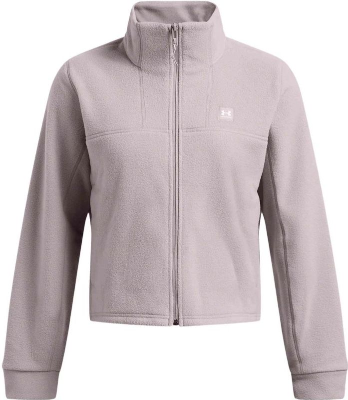 Under Armour, Dames, Sweatshirts & Hoodies, Grijs, Maat: S Fleece,