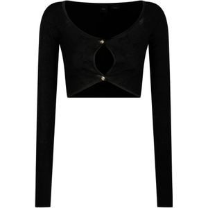 Pinko, Dames, Truien, Zwart, Maat: XS Viscose,