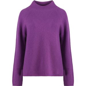 Max Mara, Dames, Truien, Paars, Maat: XS Wol,