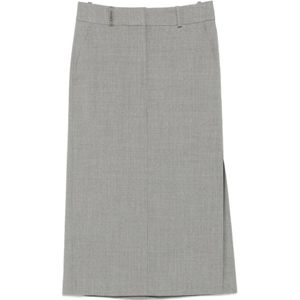 Peserico, Dames, Rokken, Grijs, Maat: L