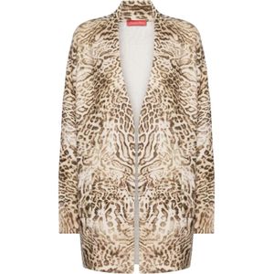 Elena Mirò, Dames, Truien, Veelkleurig, Maat: M Wol,