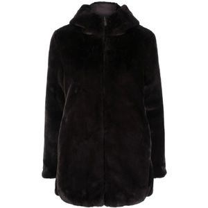 Save The Duck, Dames, Jassen, Bruin, Maat: XL