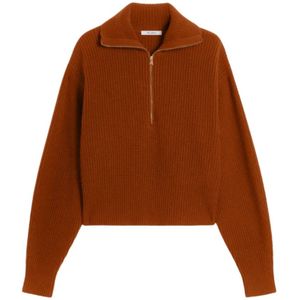 Max Mara, Dames, Truien, Bruin, Maat: XS