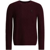 Polo Ralph Lauren - Vesten - Rood - Gebreide Kleding