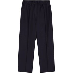 Weekend Max Mara, Dames, Broeken, Blauw, Maat: L Flanel,