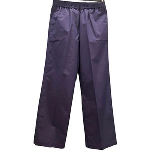 Aspesi, Dames, Broeken, Paars, Maat: S Katoen,