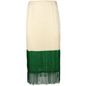 Elisabetta Franchi, Dames, Rokken, Veelkleurig, Maat: S Poliester,