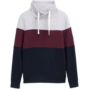 Tom Tailor, Heren, Sweatshirts & Hoodies, Veelkleurig, Maat: L Katoen,