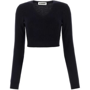 Jil Sander, Dames, Truien, Blauw, Maat: S Wol,