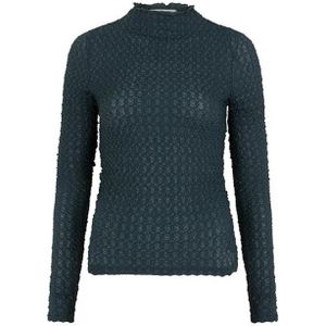 Lofty Manner, Dames, Truien, Blauw, Maat: XS Poliester,