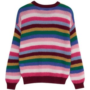 The New Society, Dames, Truien, Veelkleurig, Maat: M Nylon,