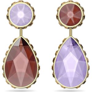 Swarovski, Dames, Accessoires, Veelkleurig, Maat: ONE Size