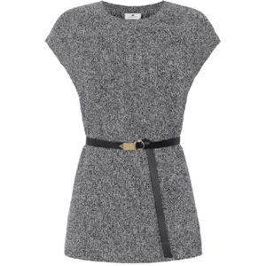 Elisabetta Franchi, Dames, Truien, Grijs, Maat: S Leer,