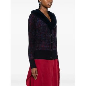 Blugirl, Dames, Truien, Veelkleurig, Maat: S Viscose,