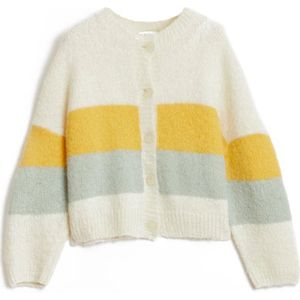 Rodebjer, Dames, Truien, Veelkleurig, Maat: M Wol,