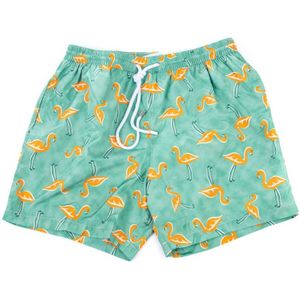 Barba, Heren, Badkleding, Groen, Maat: M