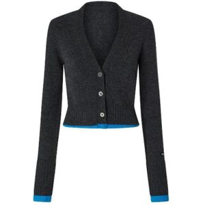 Pinko, Dames, Truien, Grijs, Maat: M Kasjmier,