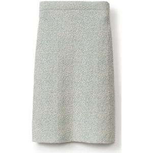 Fabiana Filippi, Dames, Rokken, Grijs, Maat: S Wol,