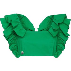 Philipp Plein, Dames, Tops, Groen, Maat: M Katoen,