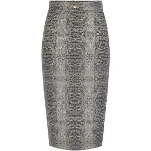 Elisabetta Franchi, Dames, Rokken, Zwart, Maat: XS Viscose,