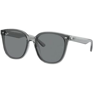Ray-Ban, unisex, Accessoires, Grijs, Maat: 66 MM Nylon,