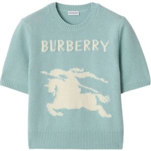 Burberry, Dames, Truien, Blauw, Maat: L Wol,