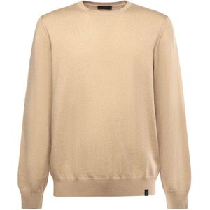 Fay, Heren, Truien, Beige, Maat: XL Wol,