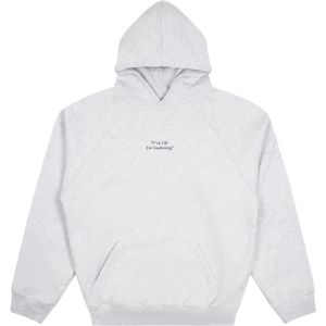 Bram's Fruit, Heren, Sweatshirts & Hoodies, Grijs, Maat: S Katoen,