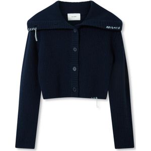 Axel Arigato, Dames, Truien, Blauw, Maat: L Wol,