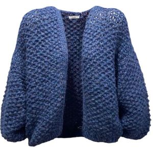 Maiami, Dames, Truien, Blauw, Maat: S Polyamide,