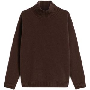 Weekend Max Mara, Dames, Truien, Bruin, Maat: M Wol,