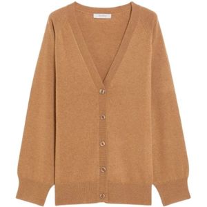 Max Mara, Dames, Truien, Bruin, Maat: L Wol,