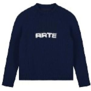 Arte Antwerp, Heren, Truien, Blauw, Maat: S