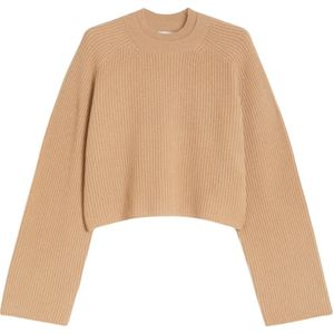 Max Mara, Dames, Truien, Bruin, Maat: L Wol,