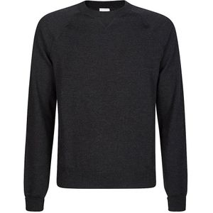 Eleventy, Heren, Truien, Blauw, Maat: S Wol,