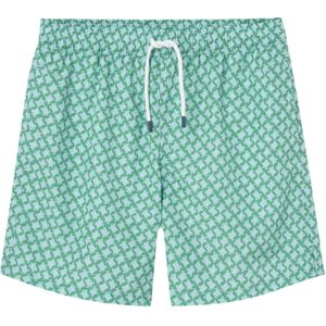 Fedeli, Heren, Badkleding, Groen, Maat: L
