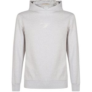 Eleventy, Heren, Sweatshirts & Hoodies, Grijs, Maat: S Katoen,