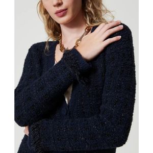 Twinset, Dames, Truien, Blauw, Maat: XS Wol,