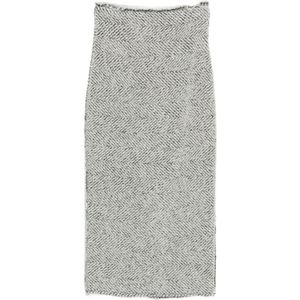 Alberta Ferretti, Dames, Rokken, Grijs, Maat: XS Wol,