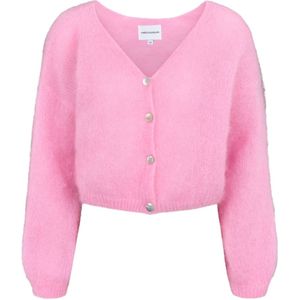 Americandreams, Dames, Truien, Roze, Maat: S Mohair,